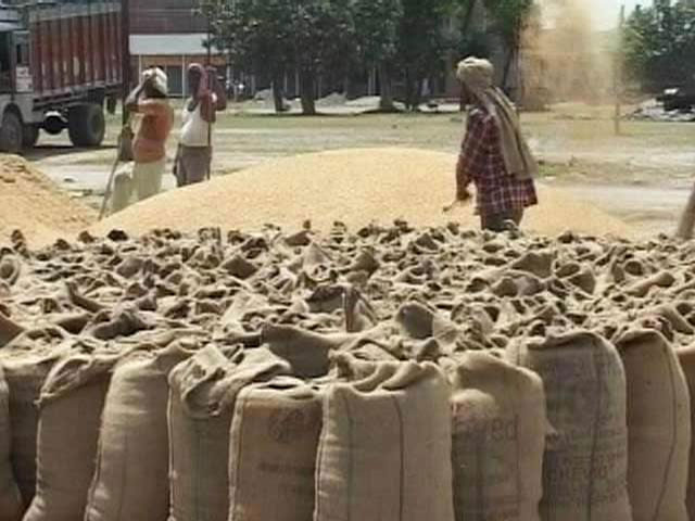 यूएई ने भारतीय गेहूं के निर्यात, पुनर्निर्यात को चार महीने के लिए निलंबित किया