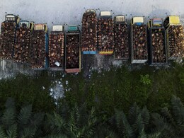 Indonesia To Resume Palm Oil Exports, But Industry Awaits Guidelines Indonesia To Resume Palm Oil Exports, But Industry Awaits Guidelines