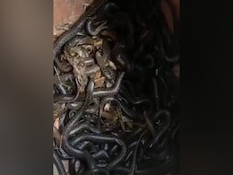 घर के अंदर रखे बर्तन में मिले सैकड़ों सांप, देखकर लोगों के उड़े होश, दहशत में आ गया पूरा गांव - देखें Video घर के अंदर रखे बर्तन में मिले सैकड़ों सांप, देखकर लोगों के उड़े होश, दहशत में आ गया पूरा गांव - देखें Video