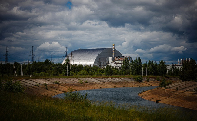 Wolves Living Near Chernobyl Plant Have Developed Cancer-Fighting Abilities: Study