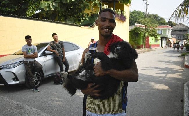 Dogged Resolve: With A Pup, A Migrant Crosses 8 Countries En Route To US