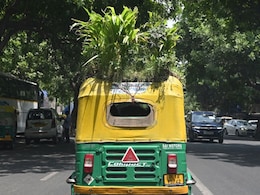 गर्मी से बचने के लिए ऑटोवाले का तगड़ा जुगाड़, Auto की छत को बना दिया Garden, फूल के साथ उगाता है बाजरा और टमाटर गर्मी से बचने के लिए ऑटोवाले का तगड़ा जुगाड़, Auto की छत को बना दिया Garden, फूल के साथ उगाता है बाजरा और टमाटर