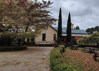 Exploring Tasmania's Foodie City Launceston: Must-Try Places Exploring Tasmania's Foodie City Launceston: Must-Try Places