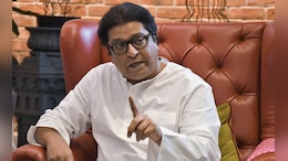 "If 2 Brothers Can Come Together After 20 Years...": Raj Thackeray To Party