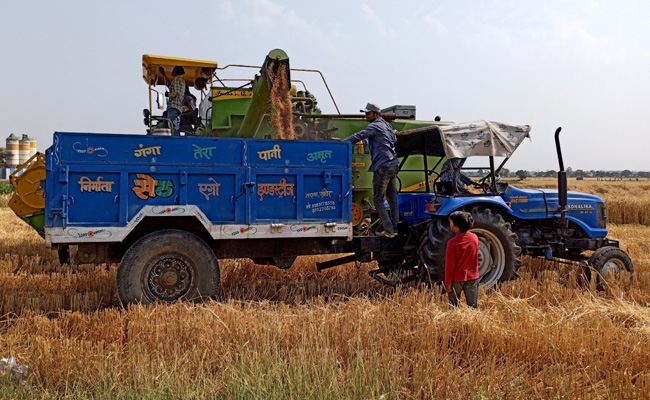 After Export Ban, Deadline To Buy Wheat For Domestic Agencies Extended