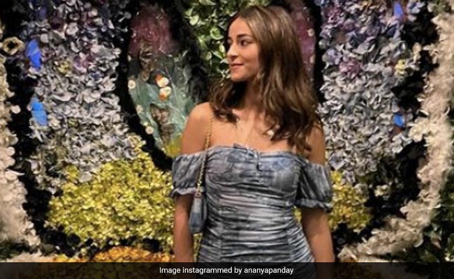 <i>Liger</i> Diaries: Ananya Panday Is Never Getting Over Nevada