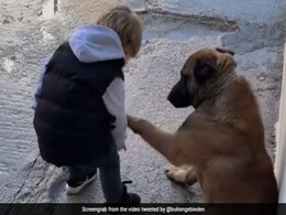 कुत्ते ने बढ़ाया पंजा, तो छोटे बच्चे ने पकड़कर प्यार से कर लिया Kiss, Video देख आप भी हो जाएंगे Cuteness पर फिदा कुत्ते ने बढ़ाया पंजा, तो छोटे बच्चे ने पकड़कर प्यार से कर लिया Kiss, Video देख आप भी हो जाएंगे Cuteness पर फिदा