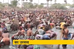 तमिलनाडु के पुदुक्कोट्टई में मछली पकड़ने के उत्सव का आयोजन तमिलनाडु के पुदुक्कोट्टई में मछली पकड़ने के उत्सव का आयोजन