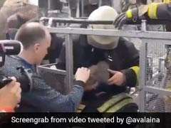 Heartwarming Video Of Cat Rescue In Ukraine Moves Internet