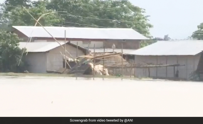 Assam Floods: More Than 2.88 Lakh People Affected In Nagaon District