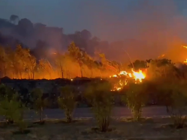 Massive Forest Fire Erupts Near Jammu