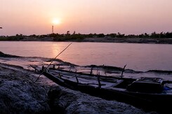 World Environment Day Special: A Documentary From Sundarbans World Environment Day Special: A Documentary From Sundarbans