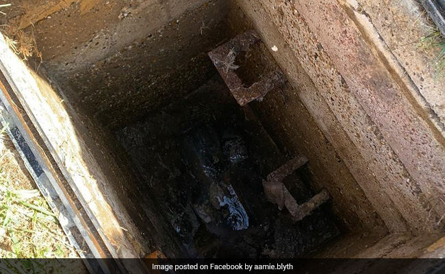 "Scariest Day Of My Life": UK Woman Recalls Saving Toddler Son Who Fell 20 Feet Into Drain