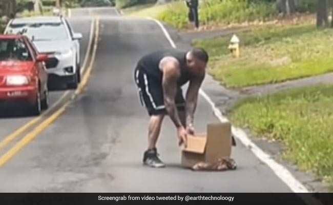 हिरण के बच्चे का मरने का नाटक देख आप भी हो जाएंगे हंस-हंस के लोटपोट, देखें VIDEO