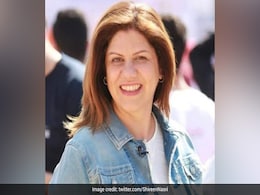 Al Jazeera Reporter, In Press Vest, Was Shot "In The Face": Qatar Minister Al Jazeera Reporter, In Press Vest, Was Shot "In The Face": Qatar Minister