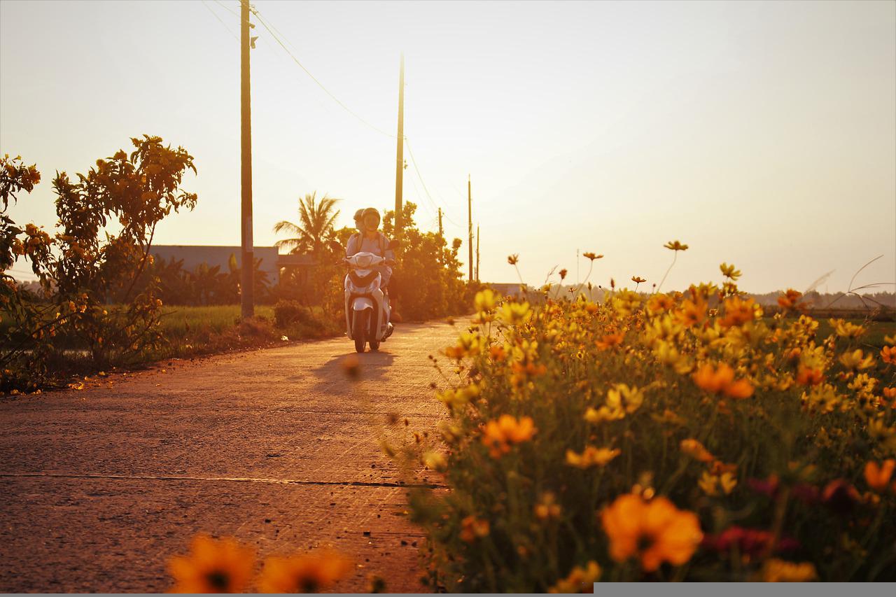Five Reasons Why You Should Buy A Bike Instead Of A Car