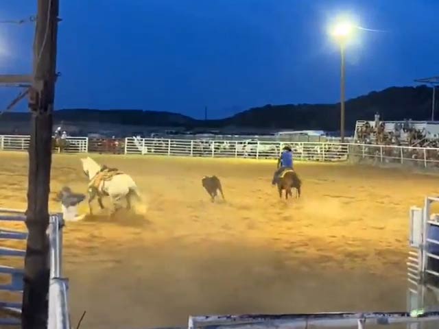 घुड़सवारी करने चला शख्स, घोड़े ने हवा में ऐसा उछाला, गिरते ही टूट गईं हड्डियां