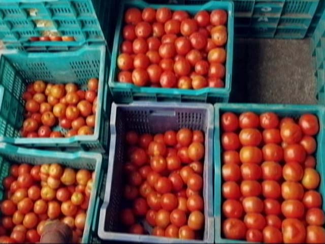 Tomatoes Selling At Rs 100 Per Kg In Chennai