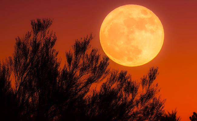 Japan Postpones Moon Mission Launch For 3rd Time Due To Bad Weather