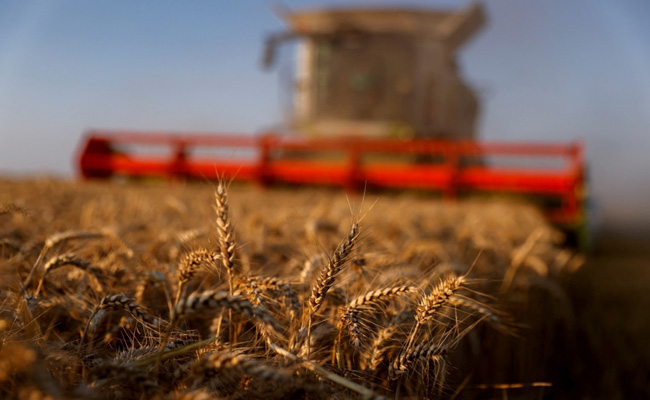 Food Prices Slightly Ease In April After Record Surge: UN Food Agency