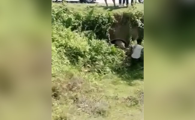 Man Ticks Off Leopard In Photo Attempt, Escapes With Leg Injury