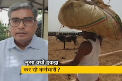 गेंहू और भूसे के दाम करीब बराबर, यूपी में पशुओं के चारे का संकट, बता रहे हैं रवीश रंजन शुक्ला गेंहू और भूसे के दाम करीब बराबर, यूपी में पशुओं के चारे का संकट, बता रहे हैं रवीश रंजन शुक्ला