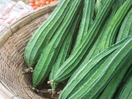 Don't Like Turai? This Turai Ki Chutney Recipe May Change Your Opinion - Try It Today