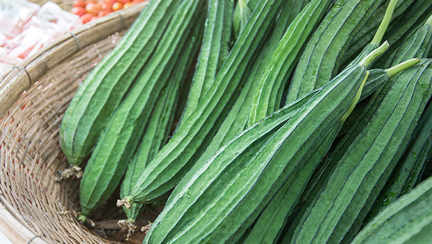Regular consumption of ridge gourd can do wonders for your health