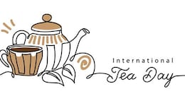 International Tea Day 2022: 5 Summer-Special Ice Tea Recipes To Beat The Heat