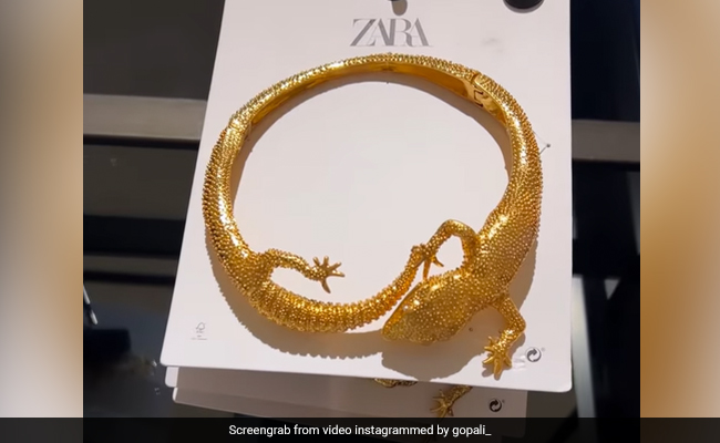 छिपकली कौन पहनता है ? Zara के 2 हजार के नेकलेस को देख लड़की ने दिया मज़ेदार रिएक्शन, वायरल हुआ Video