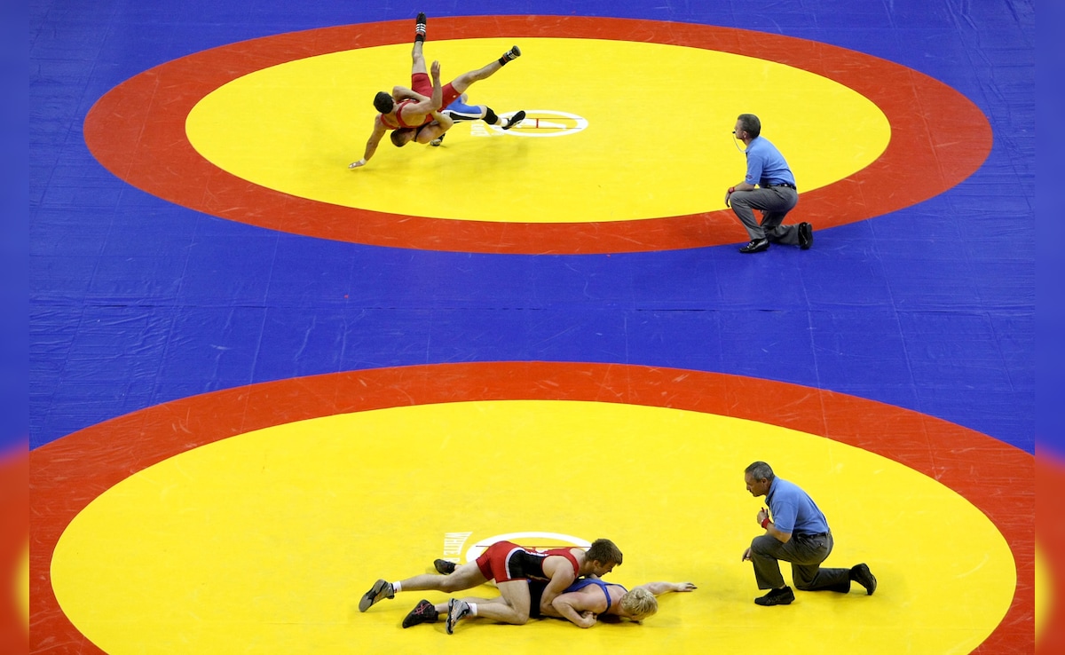 Year Ender 2025: युवा पहलवानों ने बनाया दबदबा, सीनियर स्तर पर दिखे उतार-चढ़ाव, कुश्ती के लिए ऐसा रहा साल