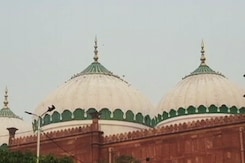 UP Mosque Survey Put On Hold By Supreme Court For 2 Days UP Mosque Survey Put On Hold By Supreme Court For 2 Days