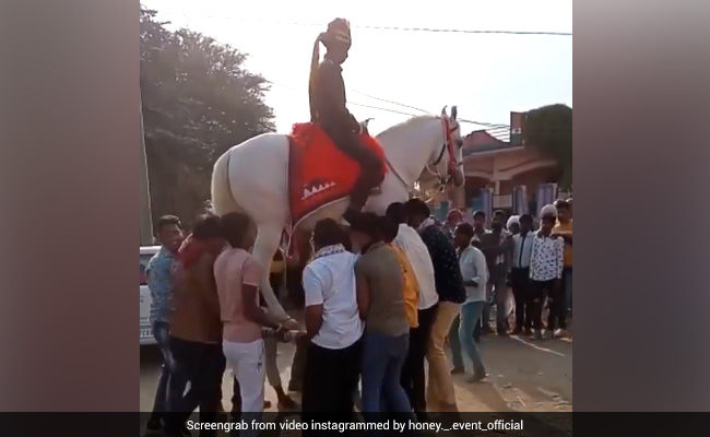 दूल्हा घोड़ी पर बैठा था, लोगों ने दोनों को चारपाई पर रखा, फिर हवा में उठाकर लगे नाचने, Video देख घूम जाएगा सिर