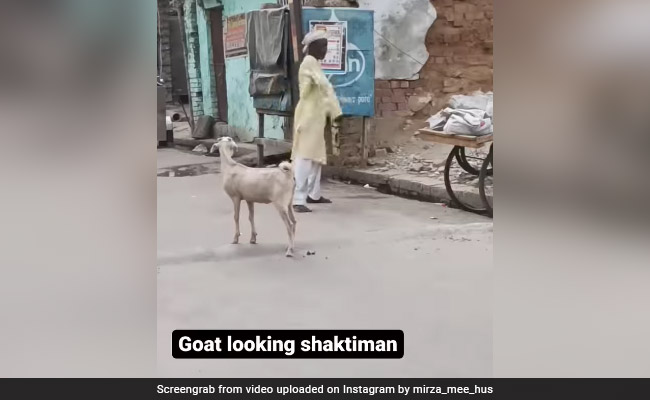 कुर्ता-पजामा में नजर आया Shaktimaan, सोशल मीडिया पर वीडियो देखा जा रहा है बार-बार