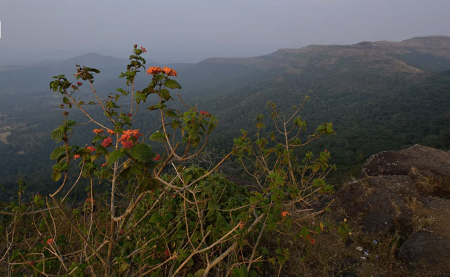 Saputara Attractions: 6 Places To Visit In And Around The Hill Station