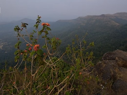 Saputara Attractions: 6 Places To Visit In And Around The Hill Station Saputara Attractions: 6 Places To Visit In And Around The Hill Station