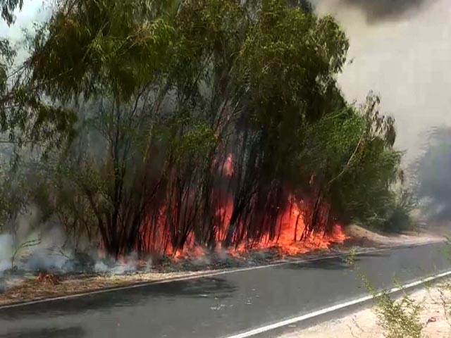 Massive Fire In Forest Area In Rajasthan