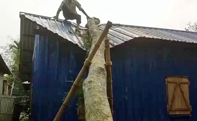 18 Killed In Storms, Lightning In April In Assam 18 Killed In Storms, Lightning In April In Assam