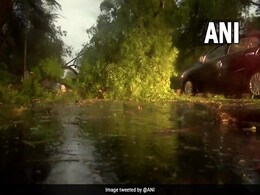दिल्ली में सोमवार को आंधी-तूफान के चलते करीब सवा सौ पेड़ जड़ से उखड़े, कई रास्ते हुए बंद दिल्ली में सोमवार को आंधी-तूफान के चलते करीब सवा सौ पेड़ जड़ से उखड़े, कई रास्ते हुए बंद