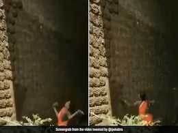महिला का हुनर देख दंग रह जाएंगे आप, देशी स्टाइल में गोबर के उपले हवा में उड़ाकर दीवार पर चिपकाए महिला का हुनर देख दंग रह जाएंगे आप, देशी स्टाइल में गोबर के उपले हवा में उड़ाकर दीवार पर चिपकाए