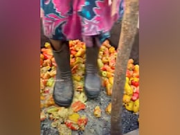 Viral Video Shows How Goan Feni Is Made; Watch The Mind-Blowing Process