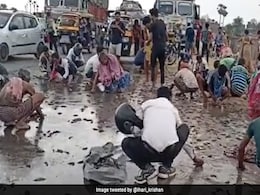 बिहार में मछलियों की बारिश! मछली लूटने बाल्टी-बोरी लेकर पहुंचे लोग, देखिए Viral Video बिहार में मछलियों की बारिश! मछली लूटने बाल्टी-बोरी लेकर पहुंचे लोग, देखिए Viral Video