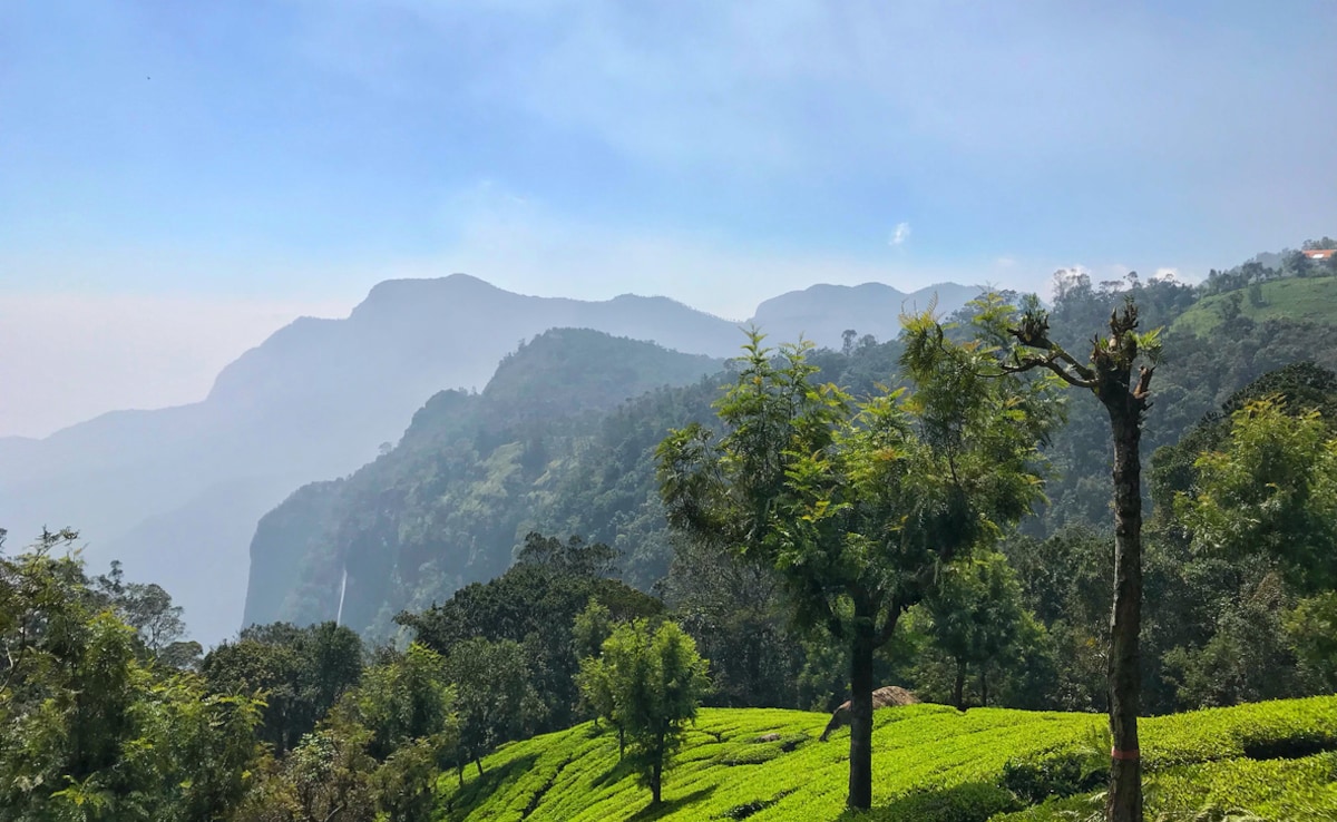 Latest and Breaking News on NDTV