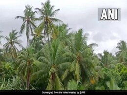 चक्रवात ‘असानी’ के आज रात को फिर से राह बदलने के आसार, आंध्र प्रदेश में तेज हवाएं और बारिश चक्रवात ‘असानी’ के आज रात को फिर से राह बदलने के आसार, आंध्र प्रदेश में तेज हवाएं और बारिश