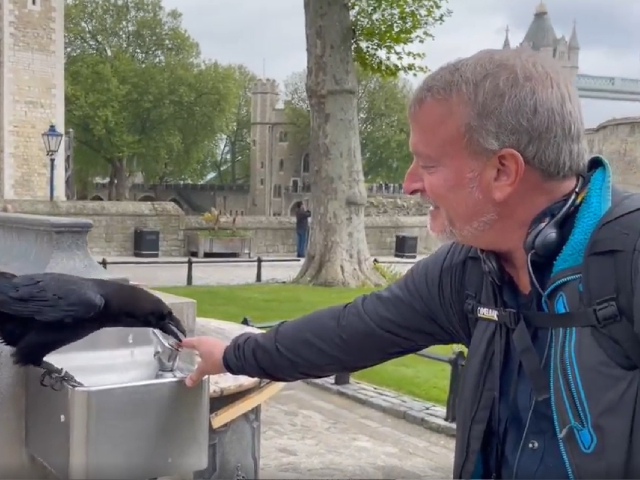 प्यासे कौए को पानी पिला रहा था शख्स, लेकिन फिर जो हुआ, आपको नहीं आएगा पसंद