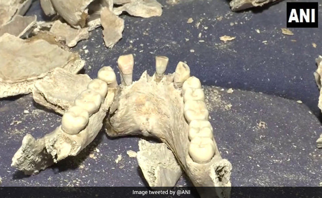Skeletons Of 282 Indian Soldiers Killed In 1857 Revolt Found In Punjab