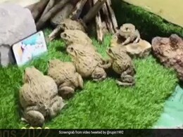 मेंढकों को भी लगी मोबाइल की लत, फोन हटाने की कोशिश करने पर किया हमला मेंढकों को भी लगी मोबाइल की लत, फोन हटाने की कोशिश करने पर किया हमला