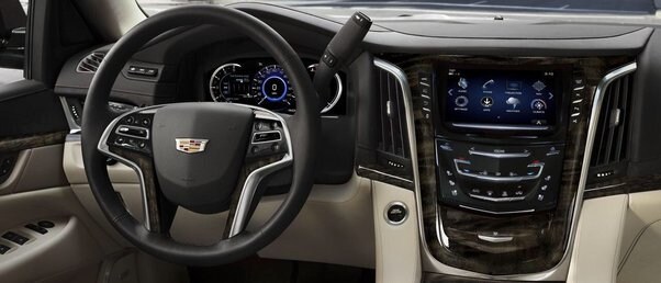 How to Make the Most of Your Test Drive