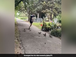 Viral Video Shows Man Jogging With Squirrels, Internet Says "This Is Awesome" Viral Video Shows Man Jogging With Squirrels, Internet Says "This Is Awesome"