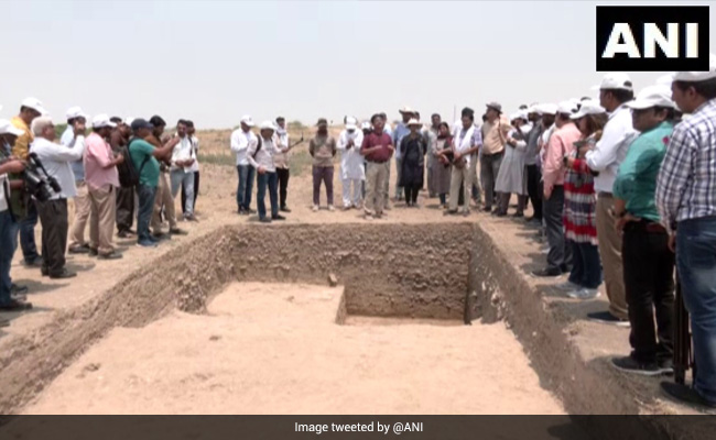 Homes, Drainage, Pottery: New Findings At Harappan Site In Haryana Hamlet